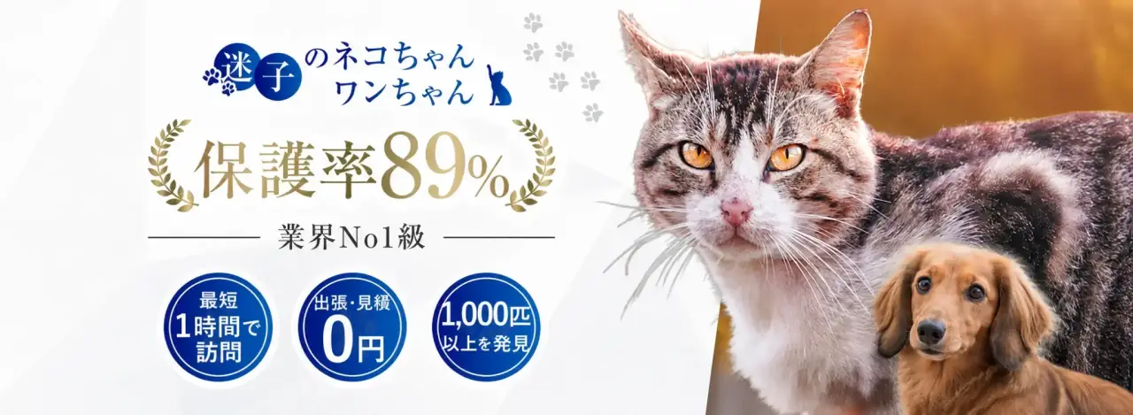 猫探偵センターのバナー。迷子の猫や犬の捜索サービスで、保護率89%、最短1時間で訪問、出張・見積もり0円と案内している