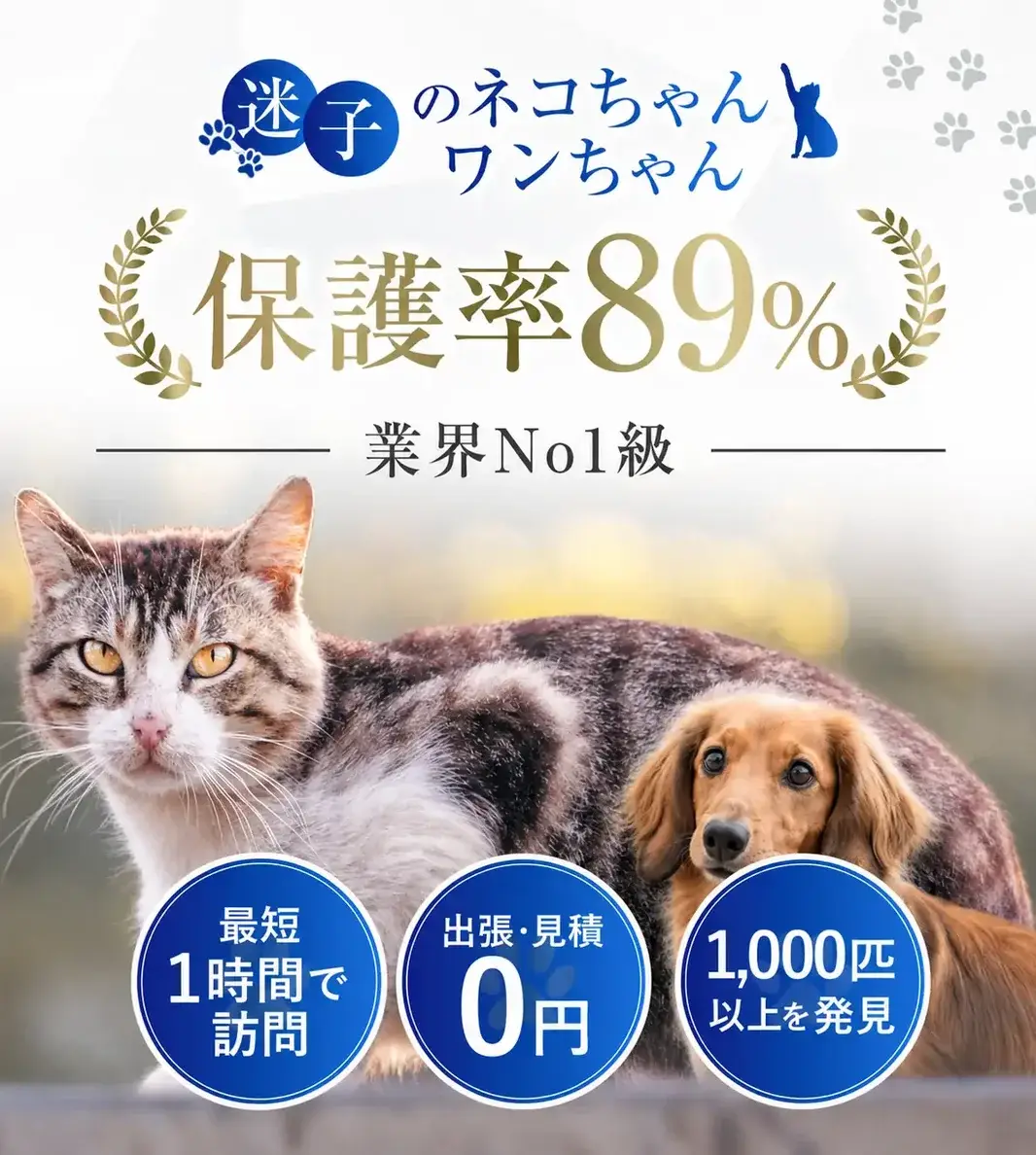 猫探偵センターのバナー。迷子の猫や犬の捜索サービスで、保護率89%、最短1時間で訪問、出張・見積もり0円と案内している