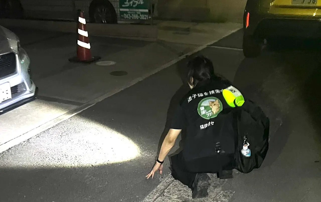 駐車場で捜査員がしゃがみ込み、ライトで地面や車の周りを照らして猫を探している様子